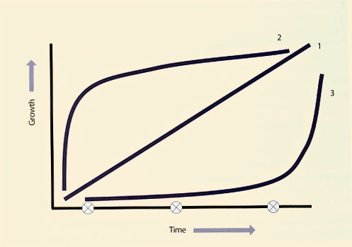 Figure 5.9 Business capacity growth model