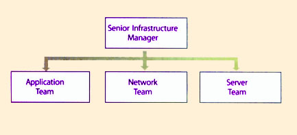 Figure 5.13 Simplified vertical view of an IT organization
