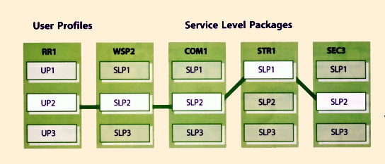 Figure 5.33 Mapping User Profiles To Service Level Packages