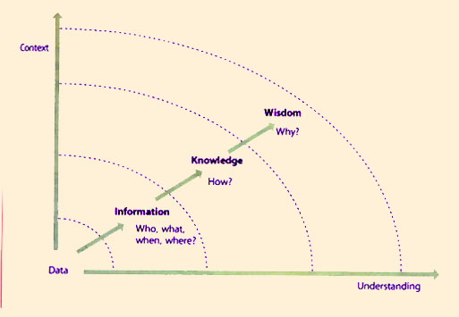 Figure 8.3 The flow from data to wisdom